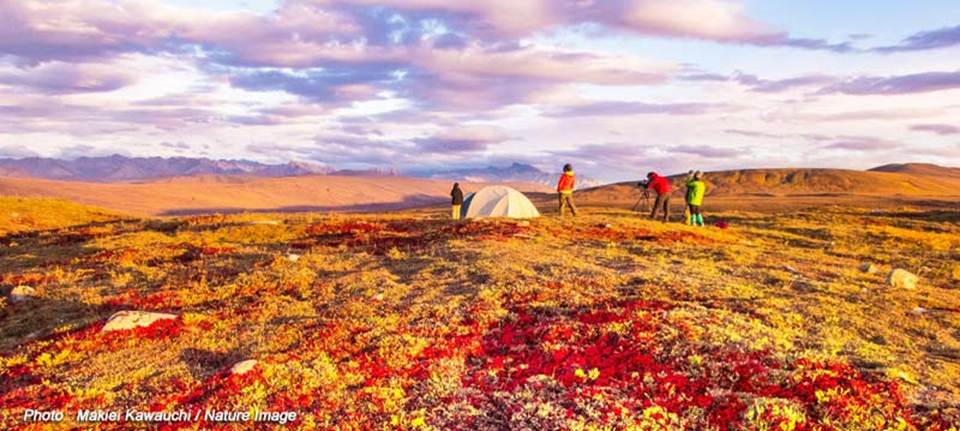 �[�������ޗl�q

�����x�̐��x�Ŏ����I�ɐ������ꂽ����