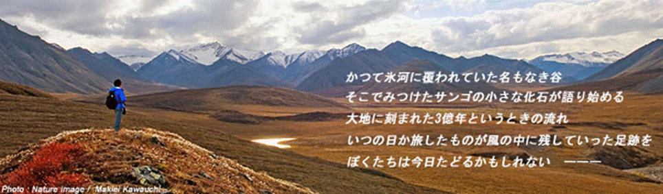 �R�̌i�F

�����I�ɐ������ꂽ����