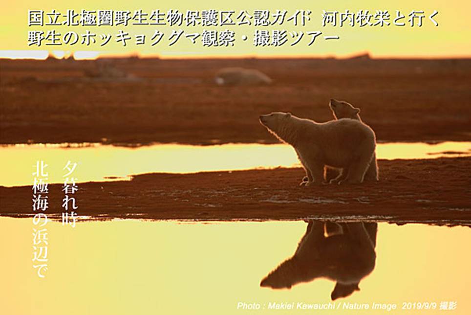 �e�L�X�g, �莆

�����I�ɐ������ꂽ����