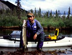 ���C���h���o�[�Ńp�C�N��ނ���