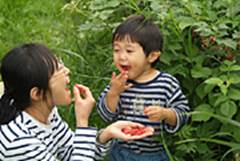 ���Y�x���[��E�񂾉Ă̌ߌ�