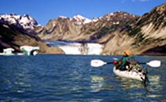 �O���C�V���[�x�C�ɂ�